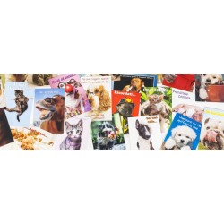 Cartoline d'auguri per ogni occasione...novità!